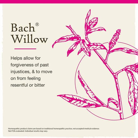 Willow Flower Essence, 0.7 Oz, BFR