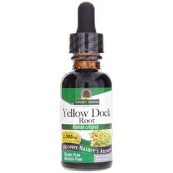 Yellow Dock Extract Alcohol-Free