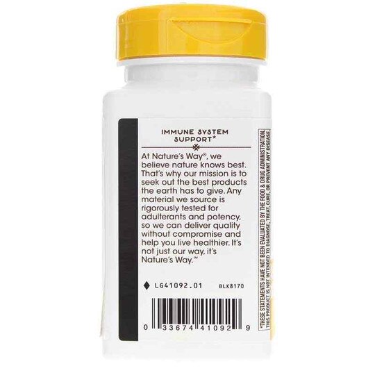 Zinc Lozenges Wild Berry Flavor, 60 Lozenges, NWA